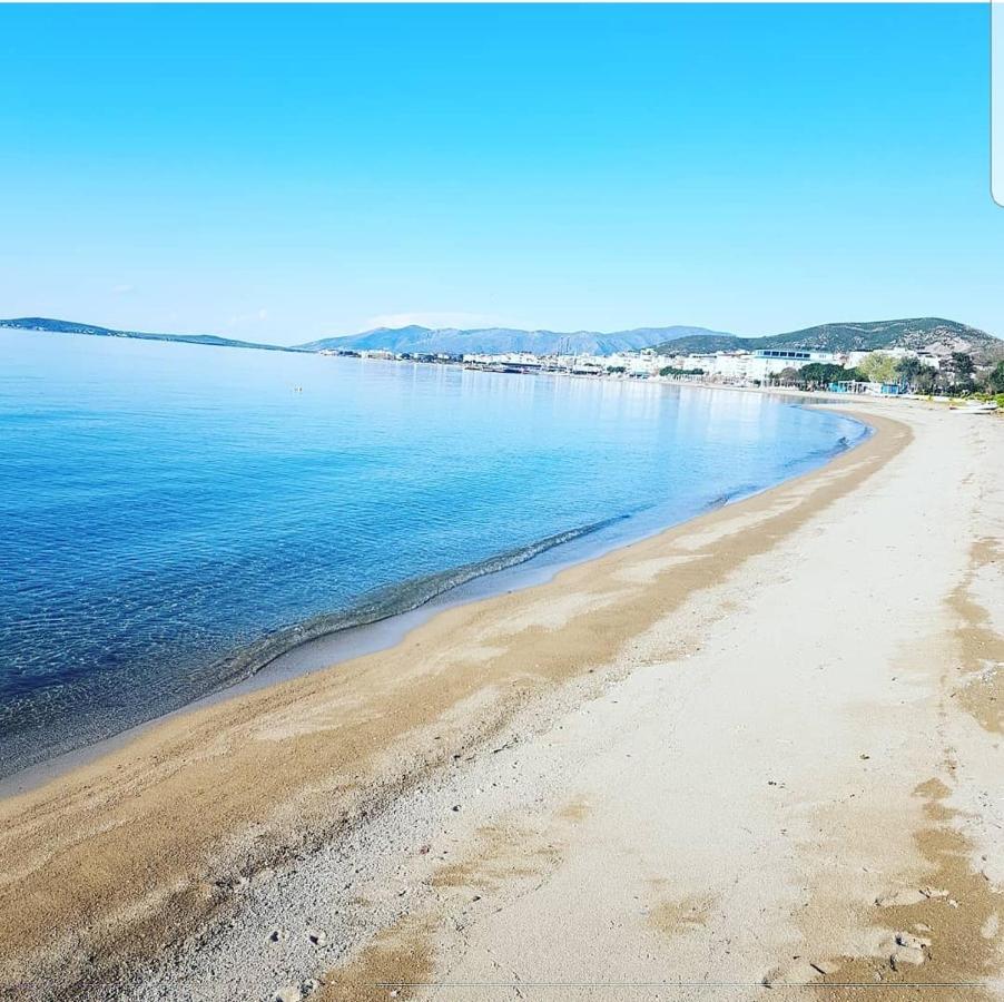 Avsa Motel Marmara Adasi Exteriér fotografie